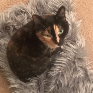 Meet your Posher, Teresa